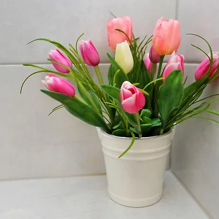 게스트하우스 Luxury Nirvana