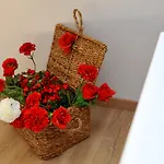 Luxury Nirvana Guest house Split